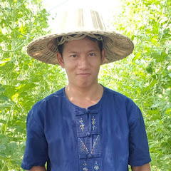 ฟาร์มสุข ปลูกอินทรีย์ avatar