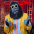 ZL7Mv9rIb2Y-channel-avatar-Harry the Gorillagician