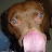 @jumpbluesdude's avatar