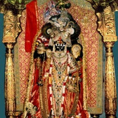 Ranchhodraiji Live Darshan Dakor