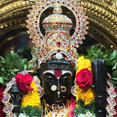 Sri Vidya Temple Avatar