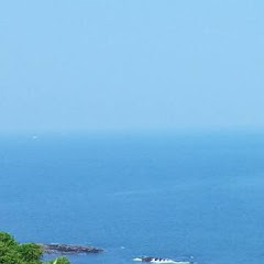 たぴ丸