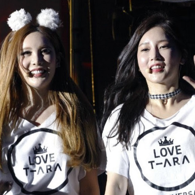 T-ara Fansub France