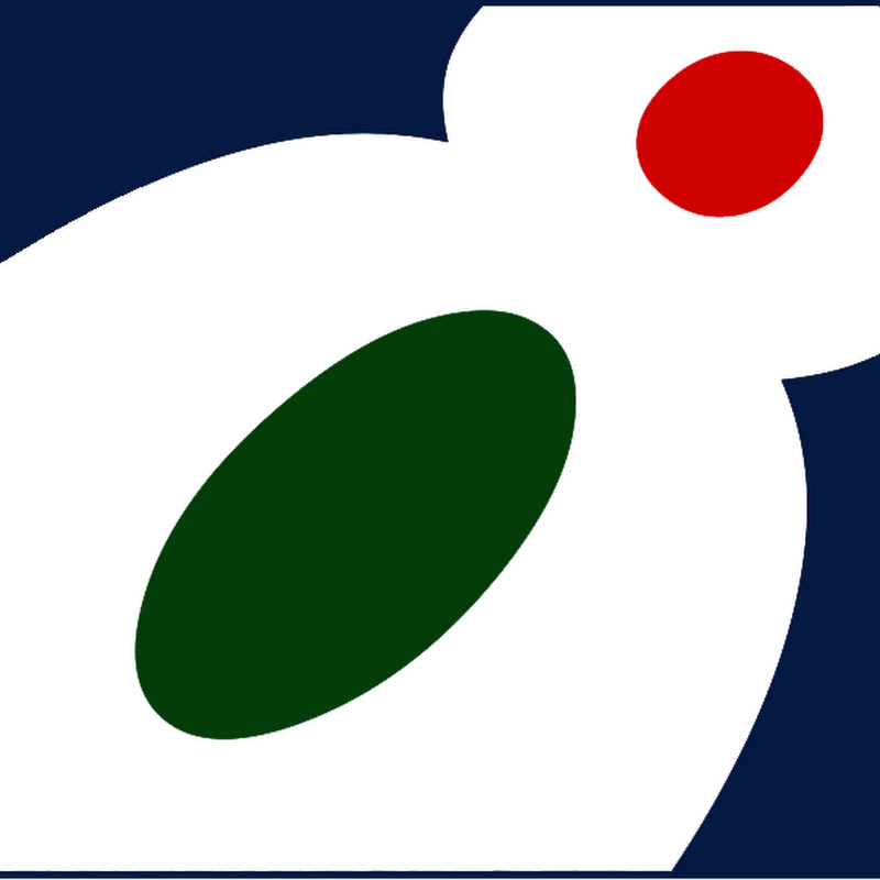 TVKanal8 logo