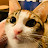 youtube avatar