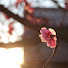 86LmiZpytKc-channel-avatar-鈴蘭台