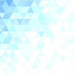 shibu panamthanathu Thomas Avatar