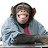 @blakepace's avatar