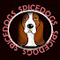 o0vCll7mdNY-channel-avatar-thespicedogs