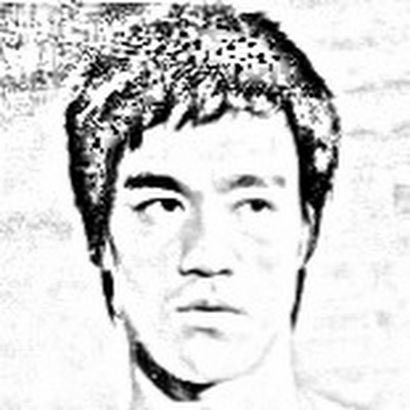 李小龍實戰 Logo