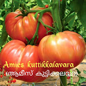 Amies Kuttikalavara