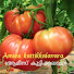 NVpMN-e1JCA-channel-avatar-Amies Kuttikalavara