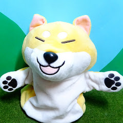 もこワンワン /Moco wan wan