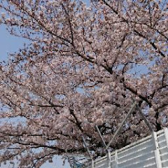 そーらぱねーる