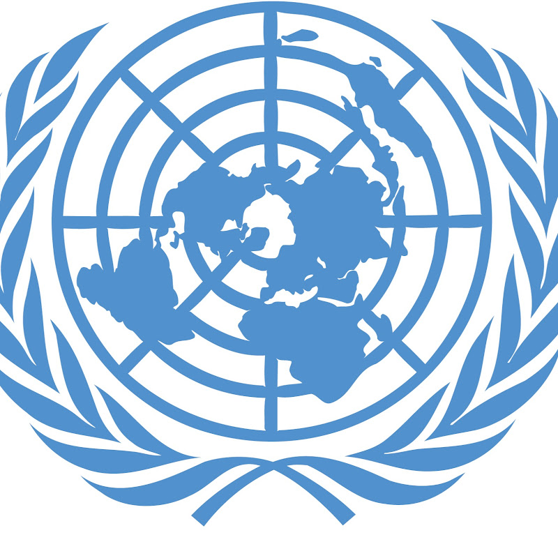 Nations Unies - Algérie
