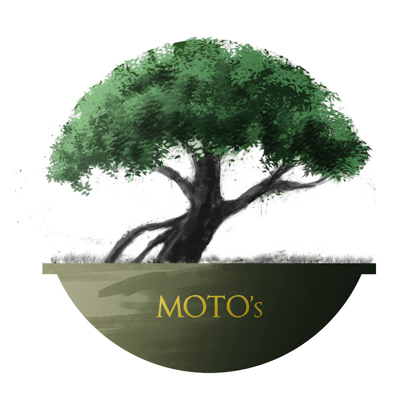 Moto's Allotment Garden