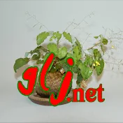 greenlifejp net