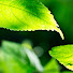 bUCPHwNdhvM-channel-avatar-AmazingNature Alpha