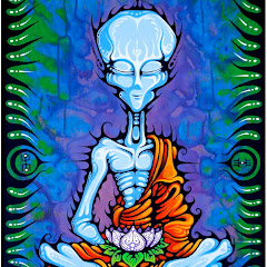 Ready4Adventure net worth