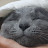 @user-xw3ke2ft8y