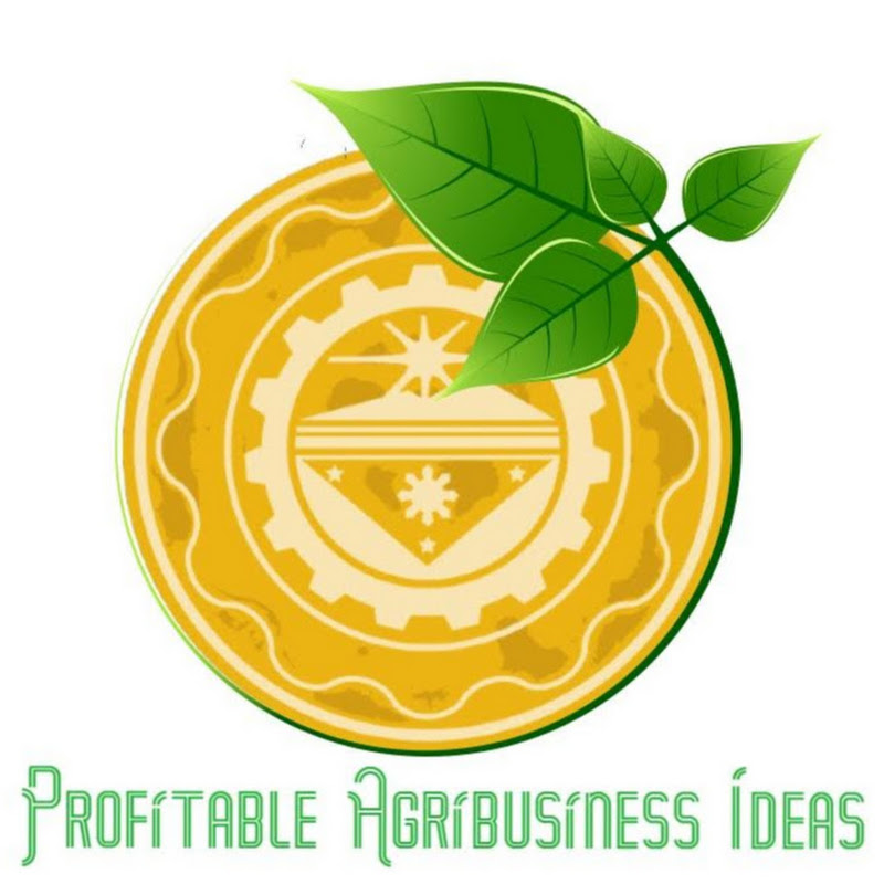 Profitable Agribusiness Ideas