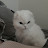 @임혜주-u5t