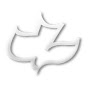 Calvary Chapel Concord logo