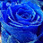 @luska3466's avatar