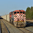 BJr6ntPQVUw-channel-avatar-Trackside Tyson