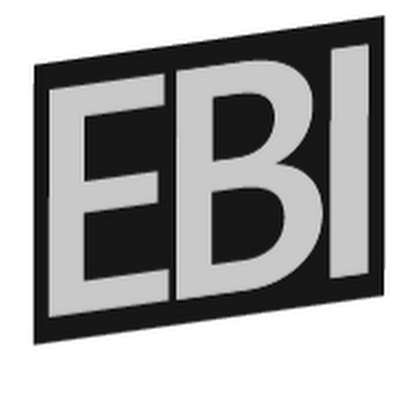 EveBusinessInsider