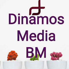 Dinamos Media B M net worth