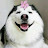 avatar of @therelaxationsalon3189
