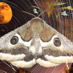 Thumbnail of related channel