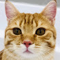 Митя&CO Image Thumbnail