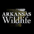 pvaKhZULpE8-channel-avatar-Arkansas Wildlife