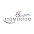 fTTnr07pNKA-channel-avatar-USAID MOMENTUM