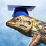 x_IpoIj7VHg-channel-avatar-LearnLizard