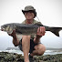 Y4NbCIP8RLs-channel-avatar-Forage-Fish-Food