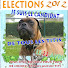 DKx35fuhoB4-channel-avatar-Léon des Etisses Le Boxer