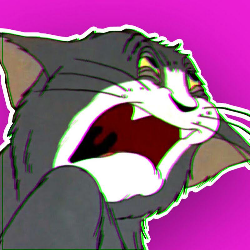 D03Y