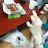 @user-qo9lr5mb1p