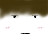 @WooNi_7