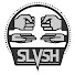 yRzkerJKmak-channel-avatar-SLVSH