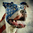@bdiff9340's avatar