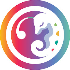 Motion Miracles