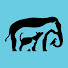 oQ3t8IoMnWQ-channel-avatar-Morris Animal Foundation