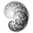 zJrdhzLS-Xw-channel-avatar-Christopher A. Summer