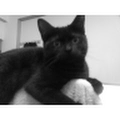 charles linアイコン画像