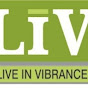 SHRI VINAYAK TRADERS LIV logo