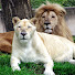 OVsMZa8E_bk-channel-avatar-JoseMa